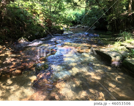 清流 清流 46053506