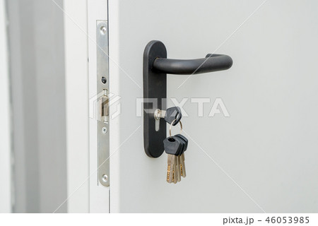 Light entrance door with the handl 46053985
