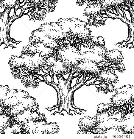 Seamless Pattern With Oakのイラスト素材