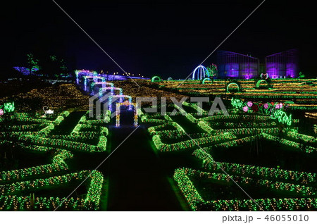 茨城県フラワーパークイルミネーション 46055010