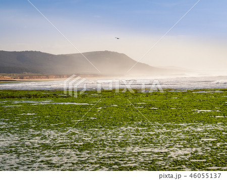 Coast Zaouiet Bouzarktoune near Essaouira, Morocco 46055137