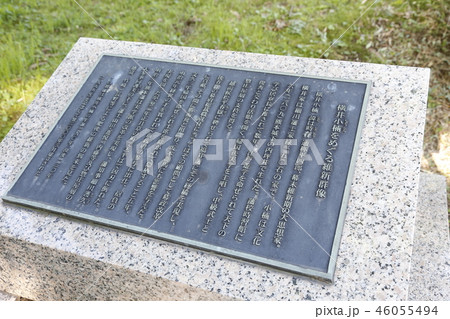 熊本城　九州 46055494