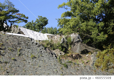 熊本城　九州 46055509