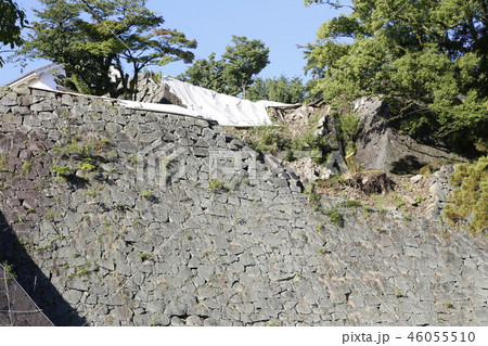 熊本城 九州 熊本城 九州 46055510