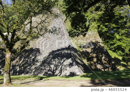 熊本城　九州 46055524