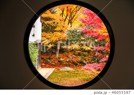 源光庵の紅葉、本堂「悟りの窓」 源光庵の紅葉、本堂「悟りの窓」 46055597