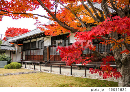 源光庵の紅葉、本堂前 46055622