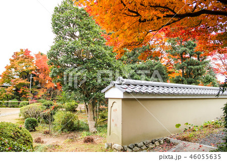 源光庵の紅葉、紅葉模様の入った築地塀と楓の名木 46055635