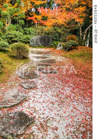 常照寺、帯塚に散る紅葉 46055648