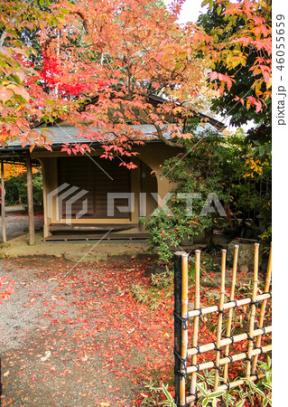 常照寺、茶室「遺芳庵」に散る紅葉 常照寺、茶室「遺芳庵」に散る紅葉 46055659
