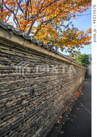 雨宝院の秋、山門前の本隆寺北壁に散る黄葉 46055676