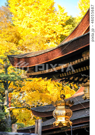 北野天満宮の秋、本殿の吊灯籠と銀杏 46055687
