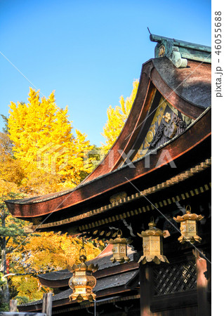 北野天満宮の秋、権現造りの本殿、吊灯籠と銀杏 46055688