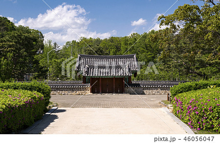 風景 不妊治療 丁若鏞 46056047