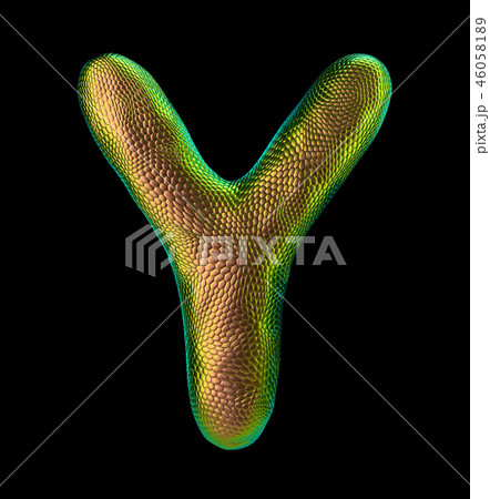 Letter Y made of natural snake skin texture gold color. 3D letter render isolated on black. 46058189