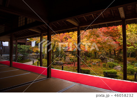 圓光寺の紅葉　十牛之庭 46058232