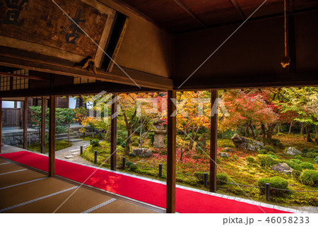 圓光寺の紅葉　十牛之庭 46058233