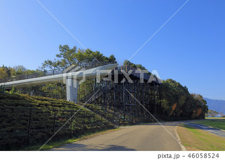 琵琶湖博物館 樹冠トレイル 46058524