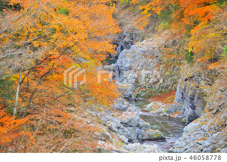 東京都 秋川渓谷の紅葉 東京都 秋川渓谷の紅葉 46058778