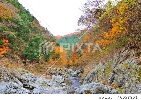 東京都 秋川渓谷の紅葉 46058801