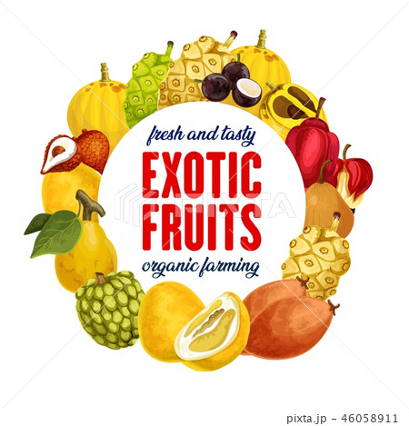 Exotic fruits icon for grocery shop or farm market 46058911