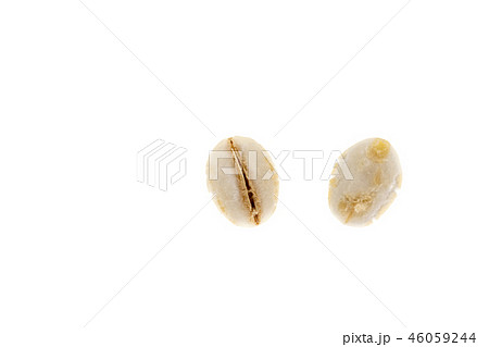 胚芽押麦 46059244