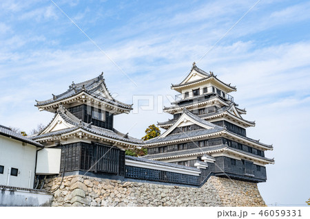 中津城 46059331