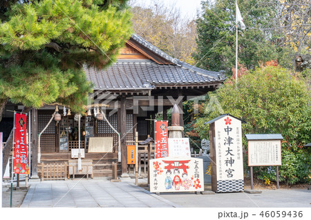 中津大神宮　中津神社 46059436