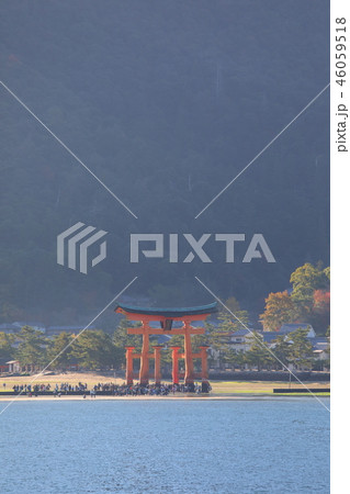 厳島神社の大鳥居 厳島神社の大鳥居 46059518