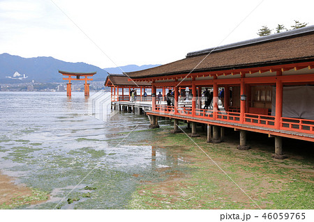 世界遺産、厳島神社 世界遺産、厳島神社 46059765