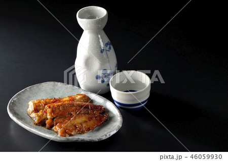 酒の肴の魚 46059930