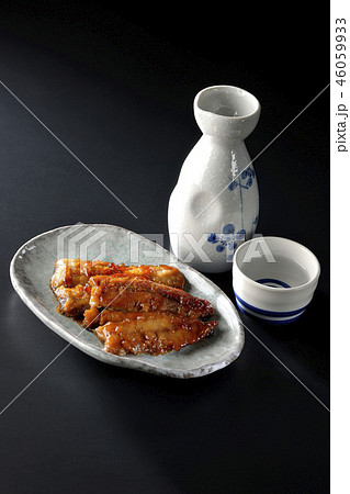 酒の肴の魚 46059933