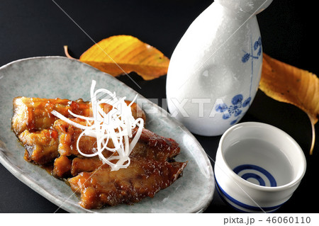 酒の肴の魚 46060110