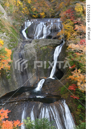 秋の袋田の滝 秋の袋田の滝 46060215