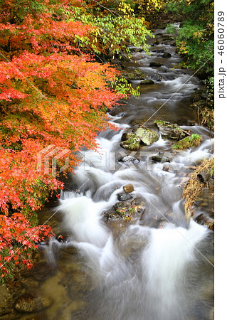 秋の花園渓谷の写真素材