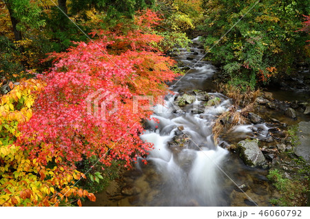 秋の花園渓谷 秋の花園渓谷 46060792