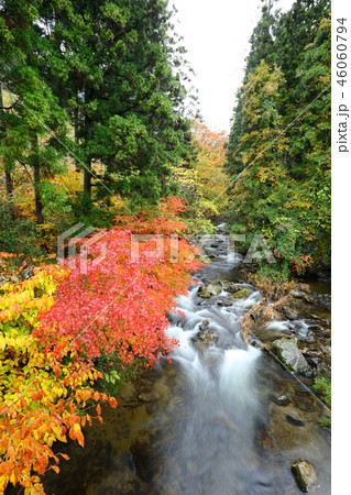 秋の花園渓谷 46060794