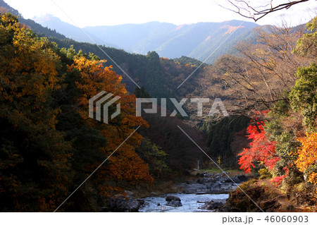 秋が深まる御岳渓谷(9) 秋が深まる御岳渓谷(9) 46060903