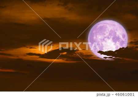 long night moon back silhouette cloud sunset sky 46061001