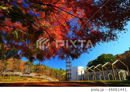 秋の宮澤賢治童話村 秋の宮澤賢治童話村 46061441