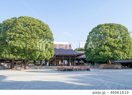 明治神宮　外拝殿 46061619