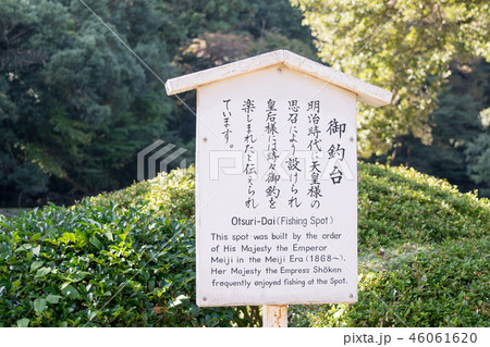 東京都　明治神宮御苑　南池　御釣台 46061620
