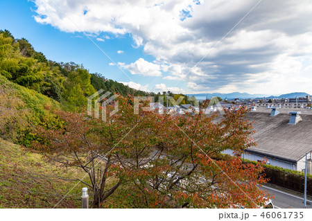 八幡公園 豊臣秀次居館跡の入り口 八幡公園 豊臣秀次居館跡の入り口 46061735