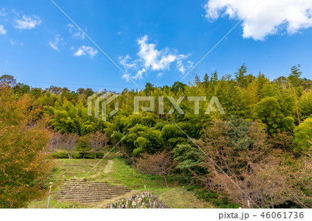 八幡公園 豊臣秀次居館跡の入り口 八幡公園 豊臣秀次居館跡の入り口 46061736