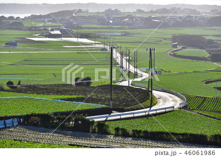 三浦市最高峰 岩堂山からの風景 【初冬】 農地 三浦市最高峰 岩堂山からの風景 【初冬】 農地 46061986