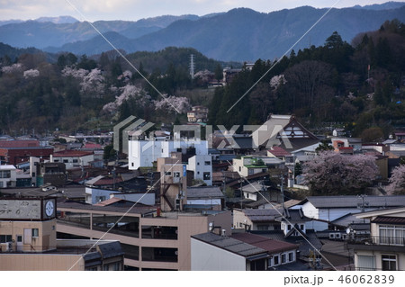日本 岐阜県高山市 春の高山祭期間中 城山公園から見た高山市街 満開の桜と民家 日本 岐阜県高山市 春の高山祭期間中 城山公園から見た高山市街 満開の桜と民家 46062839