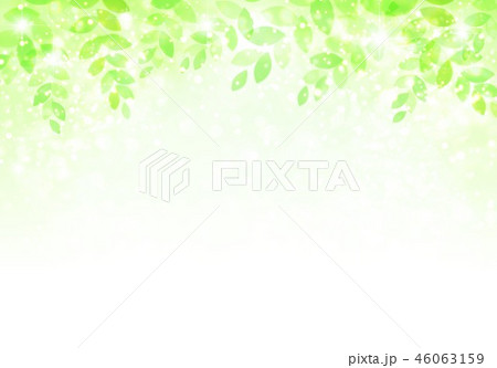 新緑イメージ背景 46063159