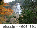 大杉谷の滝と紅葉 46064391