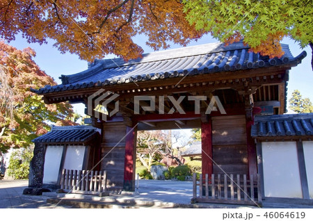 仙台　称念寺赤門の紅葉 46064619