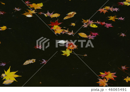 鎌北湖　紅葉 46065491